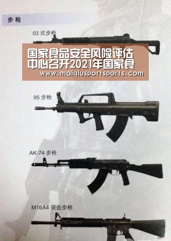 买球站官网