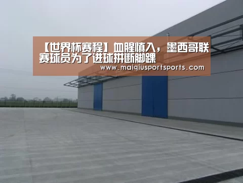 买球站